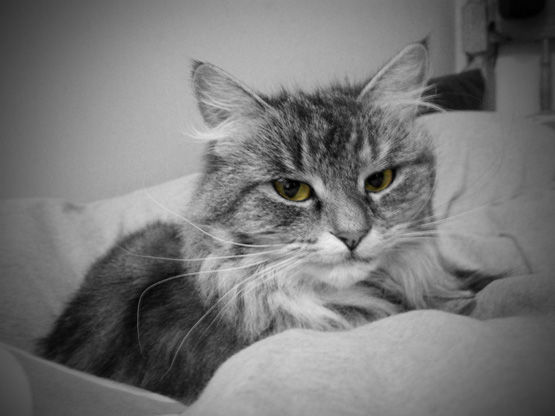 Suzie knows… she always knows